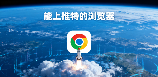 能上推特的浏览器