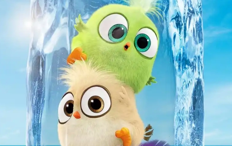 小鸟影视版本大全