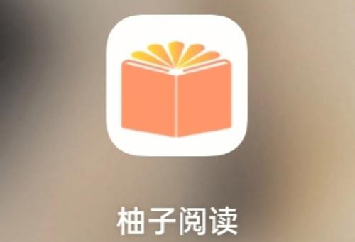 柚子小说