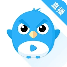 小鹰直播最新手机