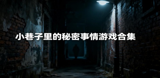 小巷子里的秘密事情游戏合集