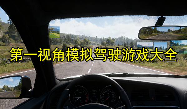 第一视角模拟驾驶游戏