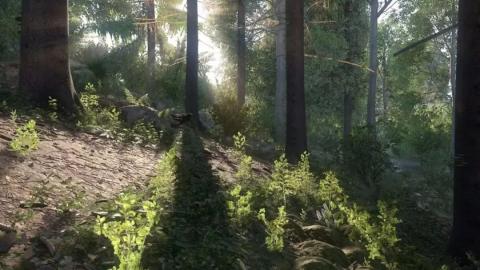 天国拯救21.2版本下载手机实体版图5