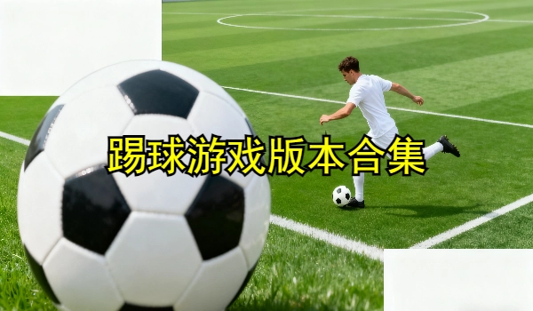 踢球游戏