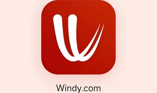 windy气象软件版本大全