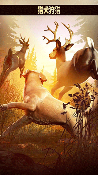 獵鹿人2018最新版