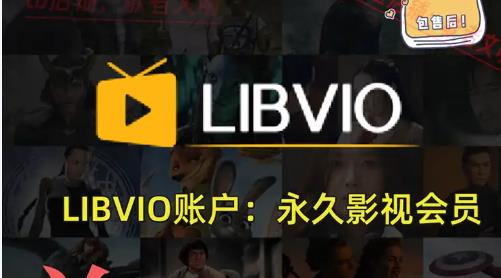 LIBVIO追剧