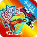 口袋妖怪心金正版