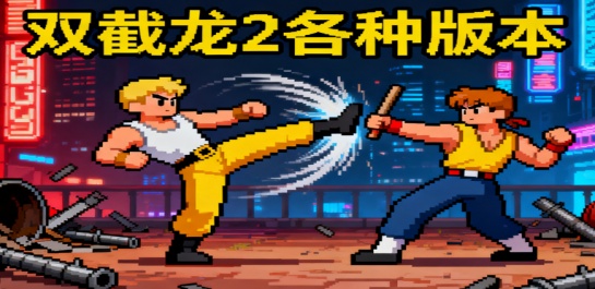 双截龙2各种版本