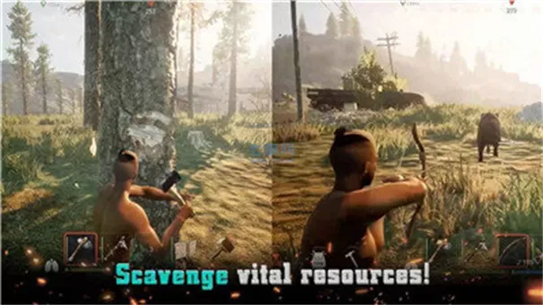 projectz官方正版