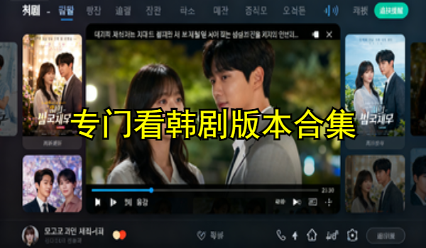 专门看韩剧