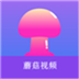 蘑菇视频1.3.5官方版 v1.6.3
