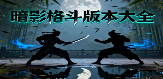 暗影格斗版本大全