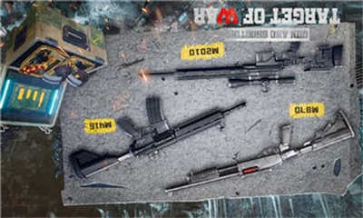 槍與射擊目標(biāo)戰(zhàn)