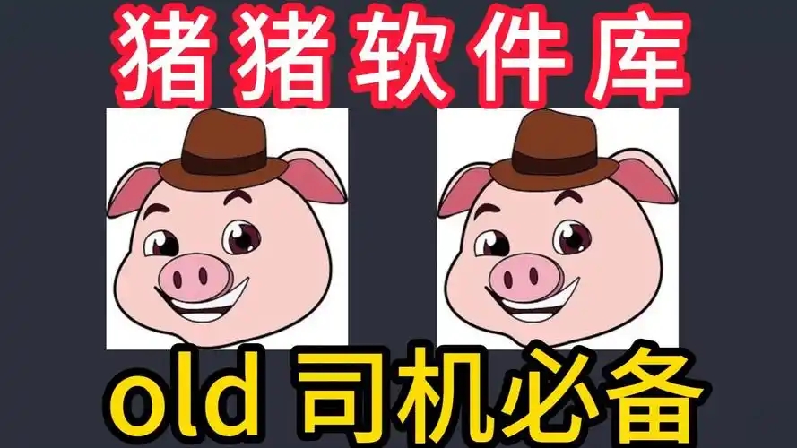 猪猪软件库版本大全
