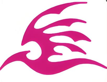 飞极速版本大全