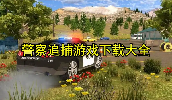 警察追捕游戏大全