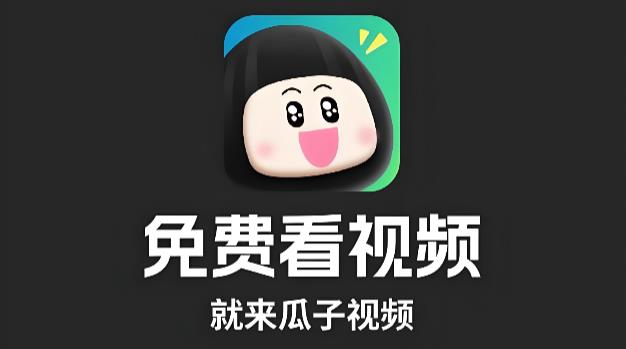 瓜子影视版本大全