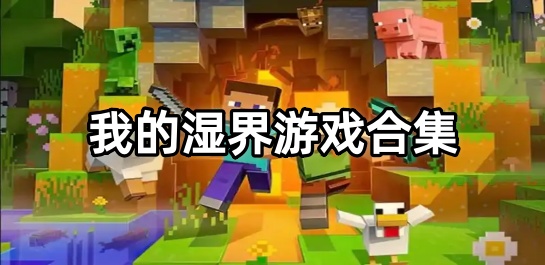 我的湿界游戏合集