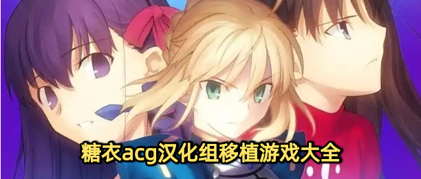 糖衣acg漢化組移植游戲大全