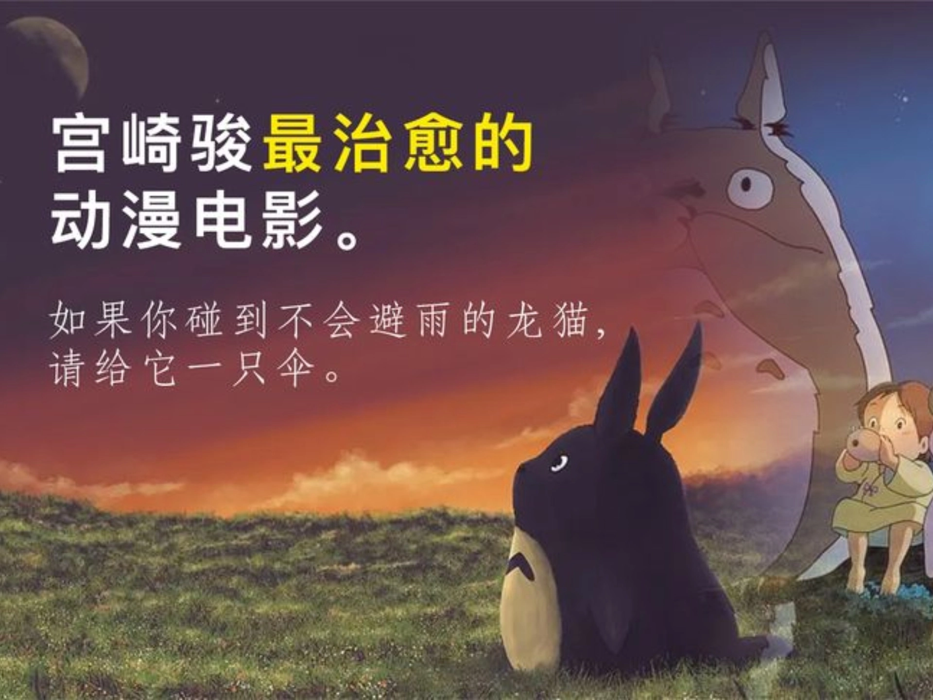 龙猫影视安卓版-龙猫影视最新版-龙猫影视官方版下载