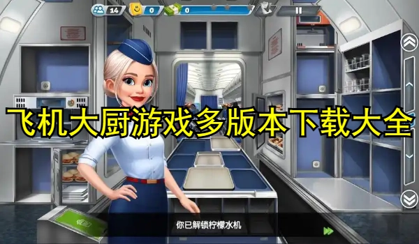 飞机大厨游戏多版本合集