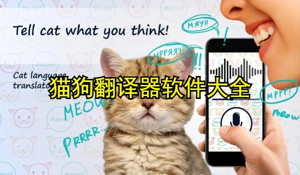 猫狗翻译器