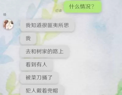 我的女友在被人追赶