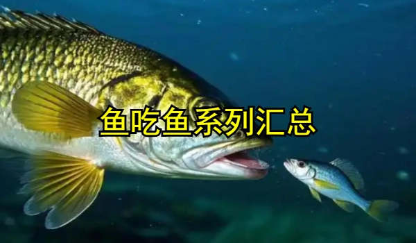 鱼吃鱼系列