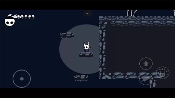 空洞骑士玩家自制版