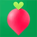 叮咚买菜免费版