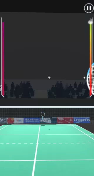 超级羽毛球大师