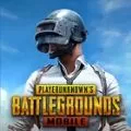 PUBG日韩服2025