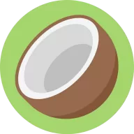 椰子助手最新版