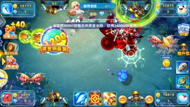 金鲨银鲨2pkufli20264