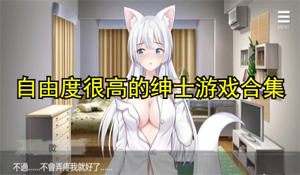 自由度很高的绅士游戏