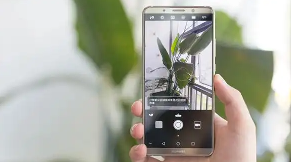 可以拍照识物的软件