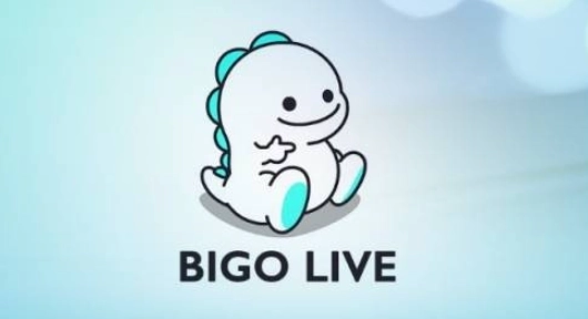 BigoLive海外直播-BigoLive直播平台/官网中文版-BigoLive直播下载大全