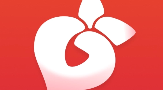 红桃视频app下载大全