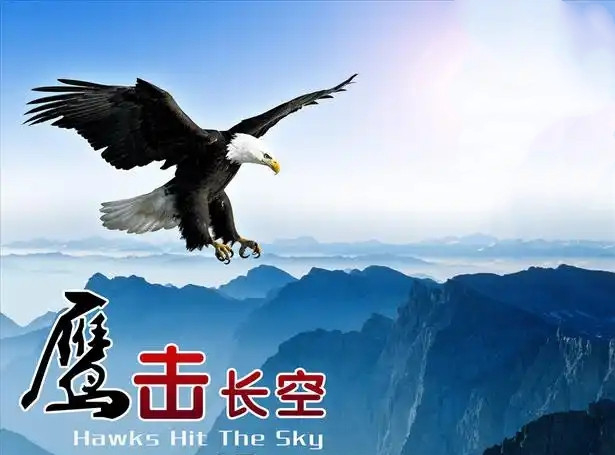 鹰击长空