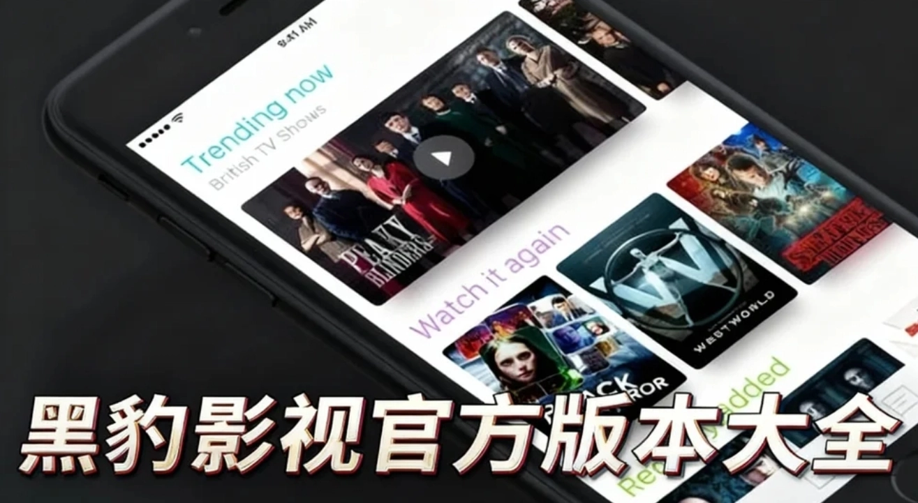 黑豹影视最新版下载-黑豹影视手机版/安卓版下载-黑豹影视官方版本大全