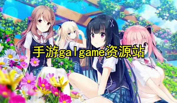 手游galgame资源站