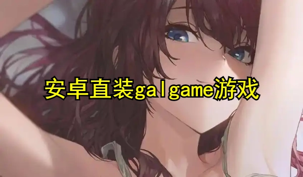 安卓直装galgame游戏
