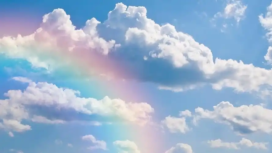 彩虹多多所有版本-彩虹多多免费版/正版/官方版下载