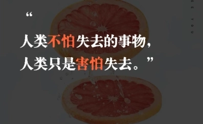 柚子阅读书源-柚子阅读小说app免费版/官网版-柚子阅读app下载大全