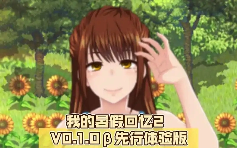 我的暑假秘密回忆