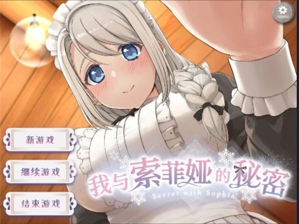 我与索菲亚的秘密游戏合集