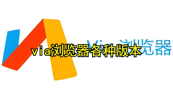 via浏览器