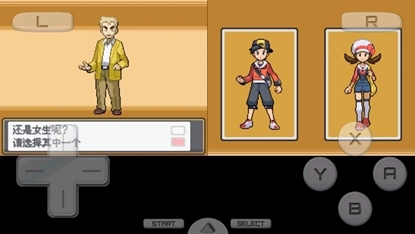 口袋妖怪心金汉化版4