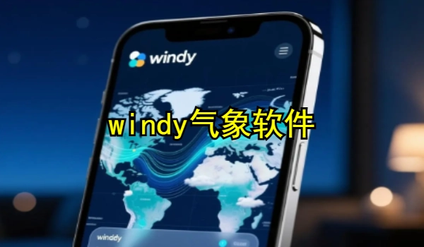 windy气象软件